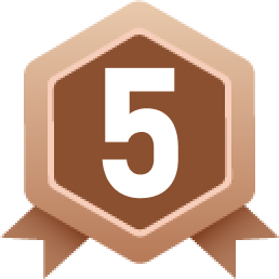 Bronze 5