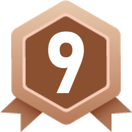 Bronze 9